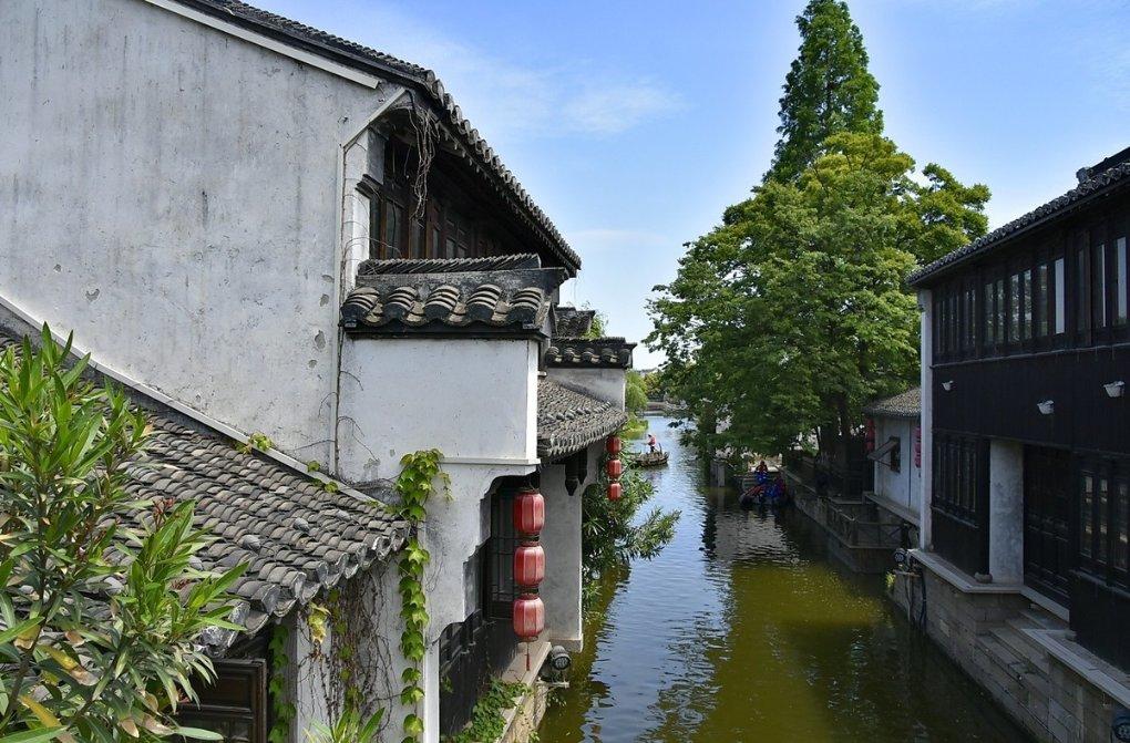 春雨直播app